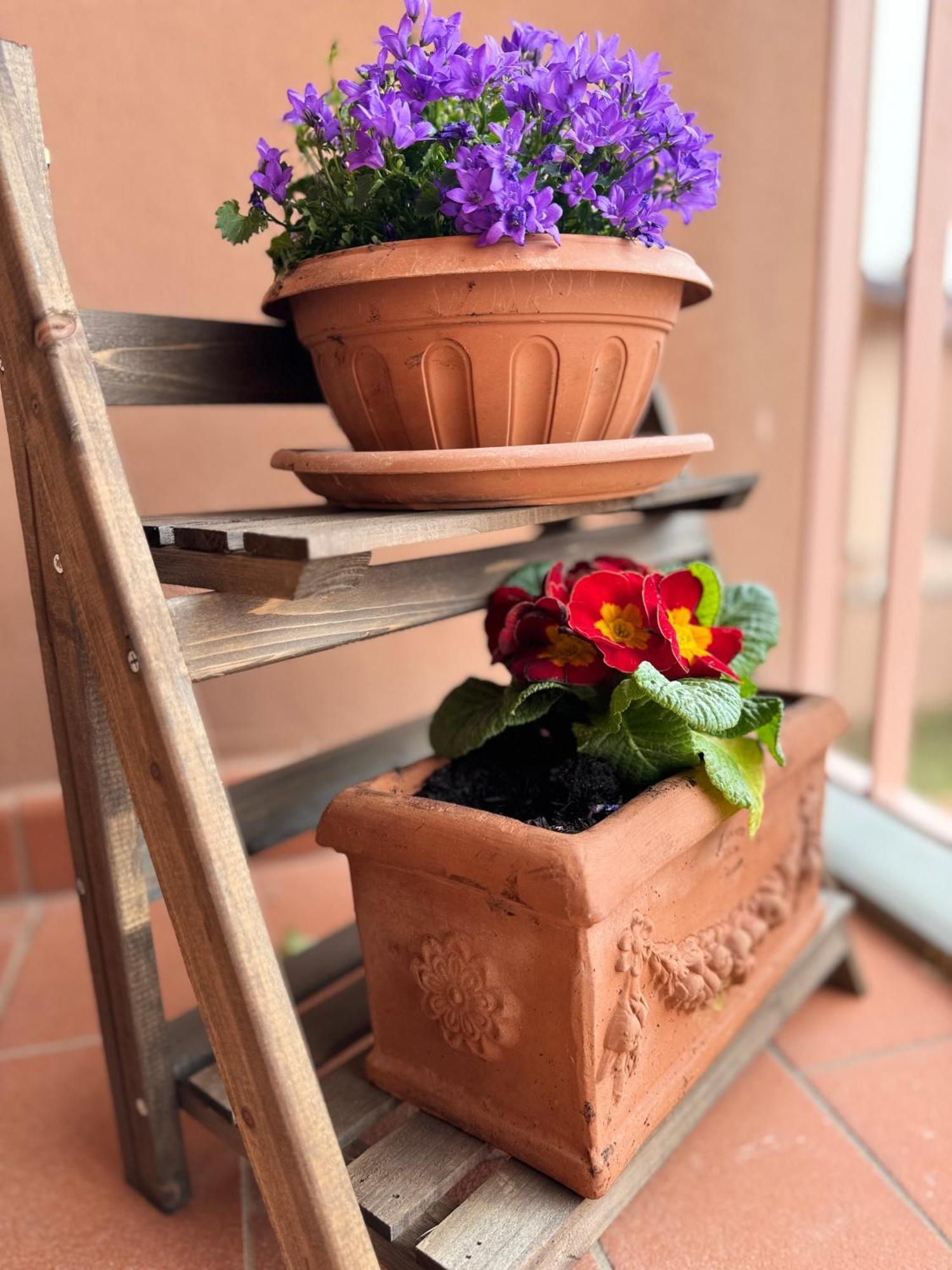 Appartamento Chianti House Garden - 30 Min Firenze Centro Pelago Esterno foto